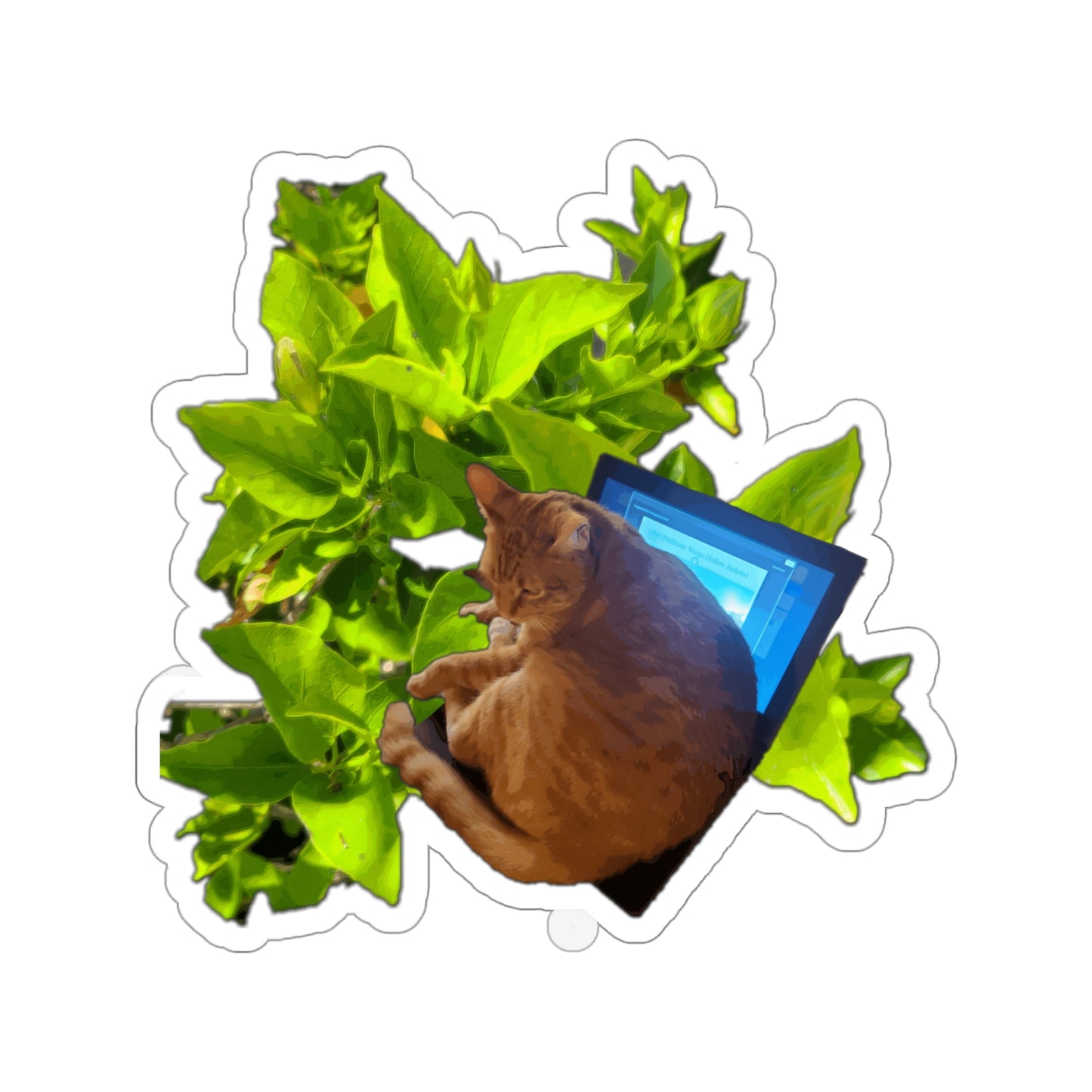 Computer Kitty Sticker